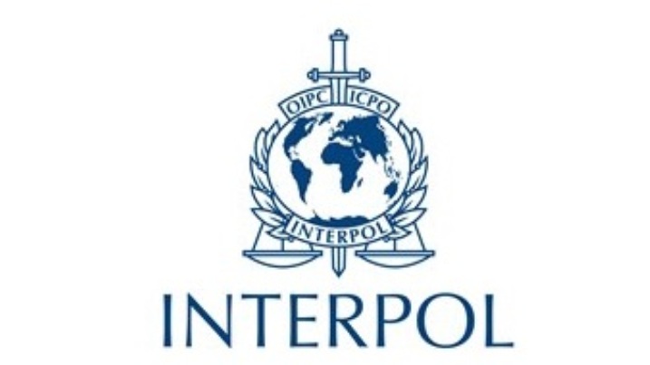 Senatoren der USA vergleichen russischen Kandidaten für die Spitze von Interpol mit einem Fuchs im Hühnerstall Senatoren der USA vergleichen russischen Kandidaten für die Spitze von Interpol mit einem Fuchs im Hühnerstall