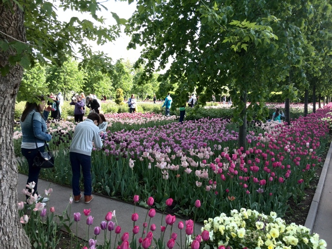 Romantik von Blumen und Schreibwaren Romantik von Blumen und Schreibwaren