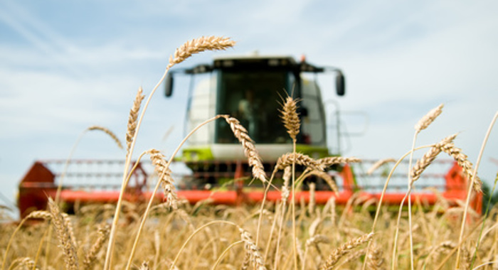 Türkei erwartet, 20 Millionen Tonnen Getreide aus der Ukraine auf die Weltmärkte zu exportieren