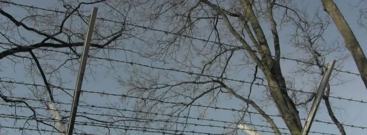 Stacheldrahtzaun an der russisch-polnischen Grenze