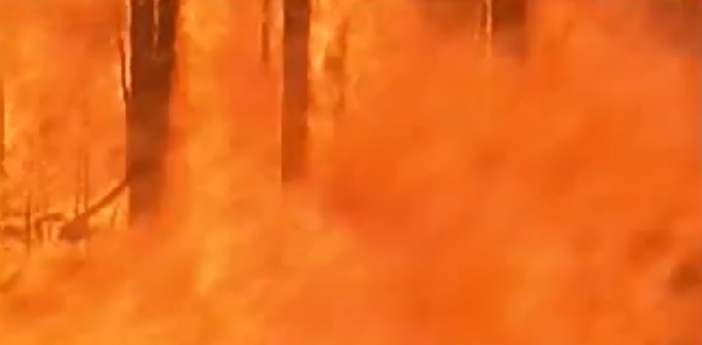 In Russland brennen fast 27.000 Hektar Wald