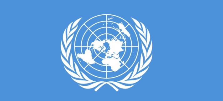 Streit im UN-Sicherheitsrat über taktische Atomwaffen