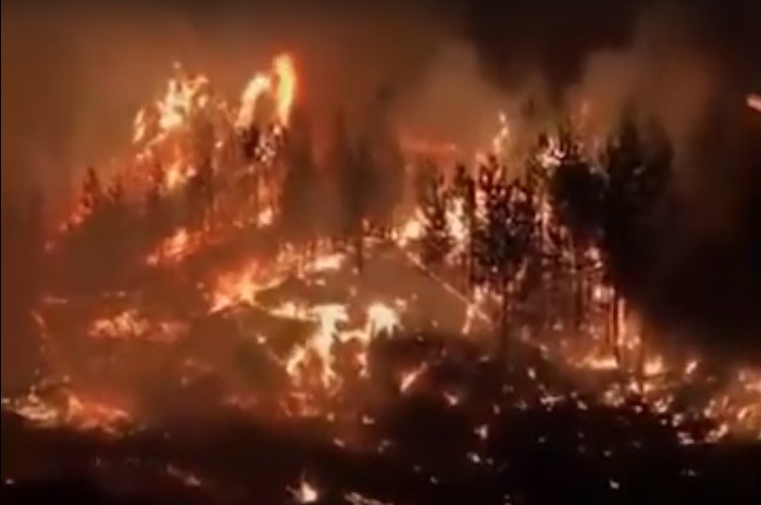 In Russland hat die „Waldbrand-Saison“ wieder begonnen