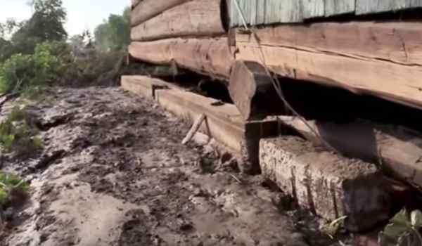 „Vieh und Gesindel“: Schon wieder entgleitet einer russischen Beamtin die Sprache „Vieh und Gesindel“: Schon wieder entgleitet einer russischen Beamtin die Sprache