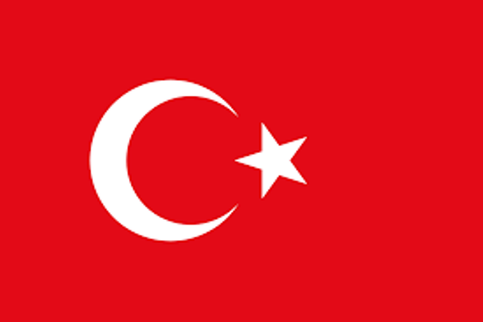 Türkischer Verteidigungsminister: Treibminen im Schwarzen Meer könnten absichtlich gelegt worden sein
