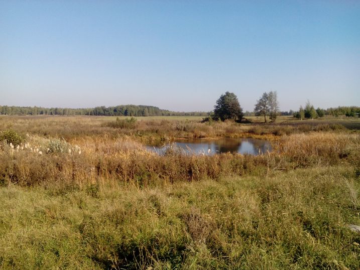 Tschernobyl soll zur Touristenattraktion werden Tschernobyl soll zur Touristenattraktion werden